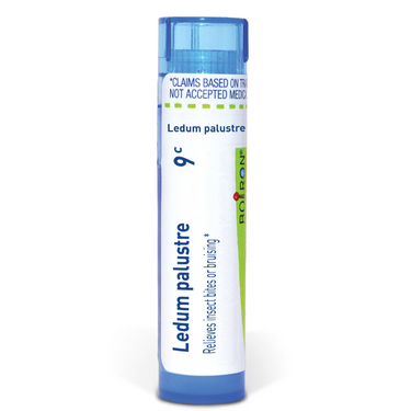 Ledum palustre (9c)